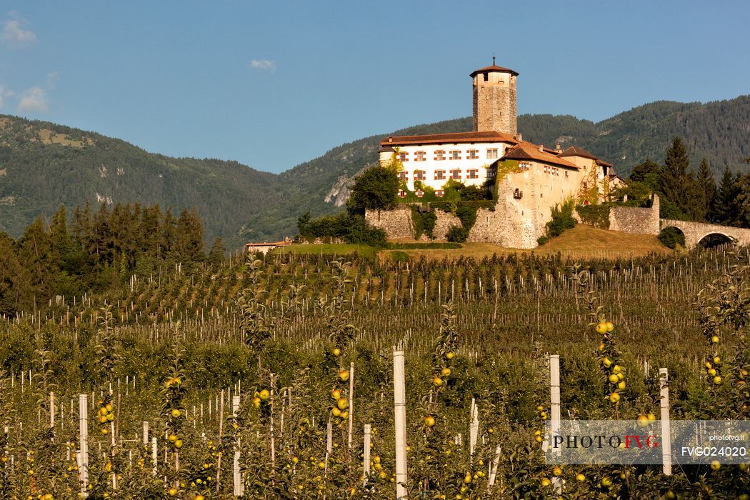 Castel Valer castle and apple trees, Val di Non, Trentino, Italy