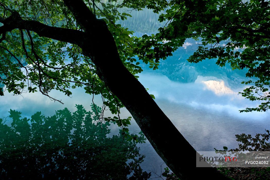 Tovel lake reflects the  Brenta dolomites, Val di Non, Trentino, Italy