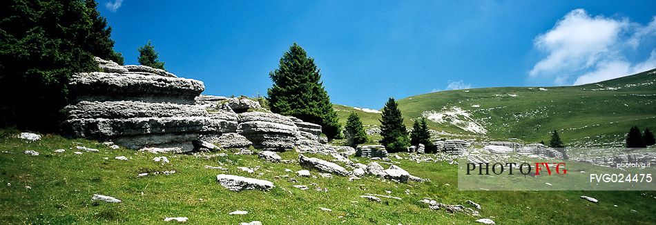 The rocky garden of Fior mount, Melette plateau, Asiago, Italy