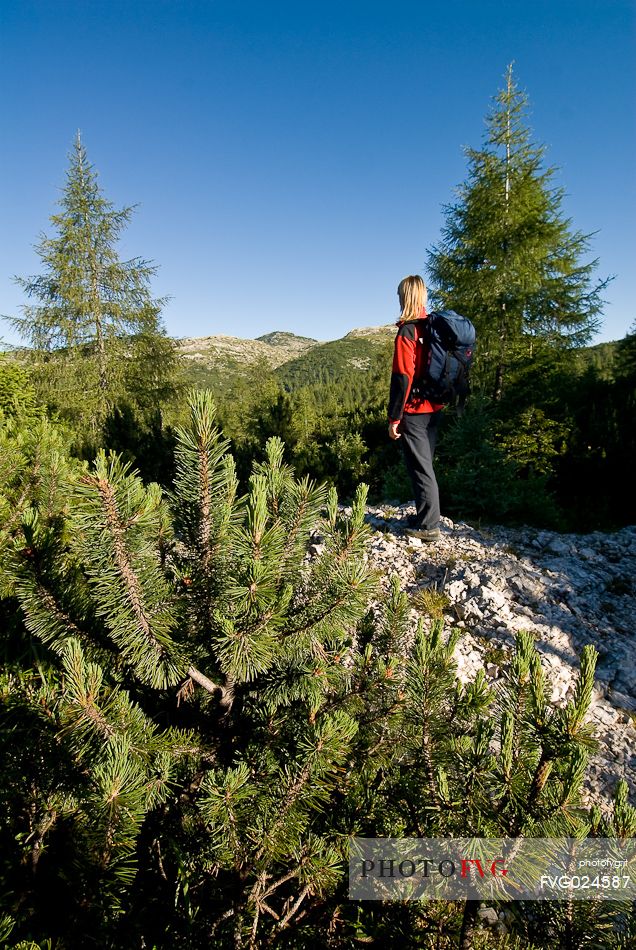 Hiker to Ortigara mount, Asiago, Veneto, Italy, Europe