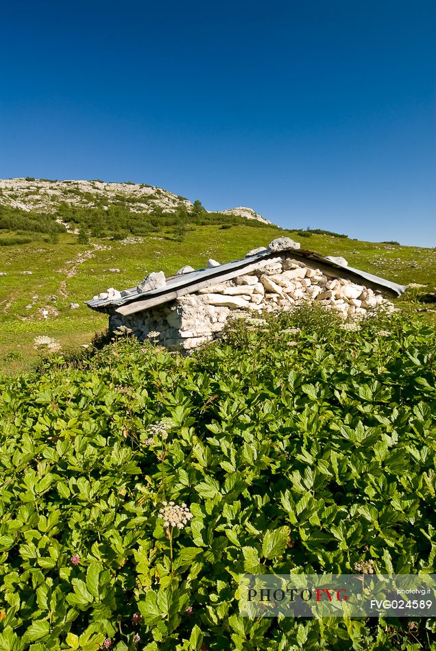Ortigara shelter, Ortigara mount, Asiago, Veneto, Italy, Europe