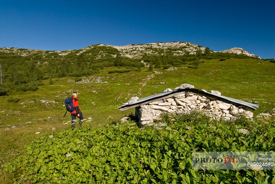Hiker at the Ortigara shelter, Ortigara mountain, Asiago, Veneto, Italy, Europe