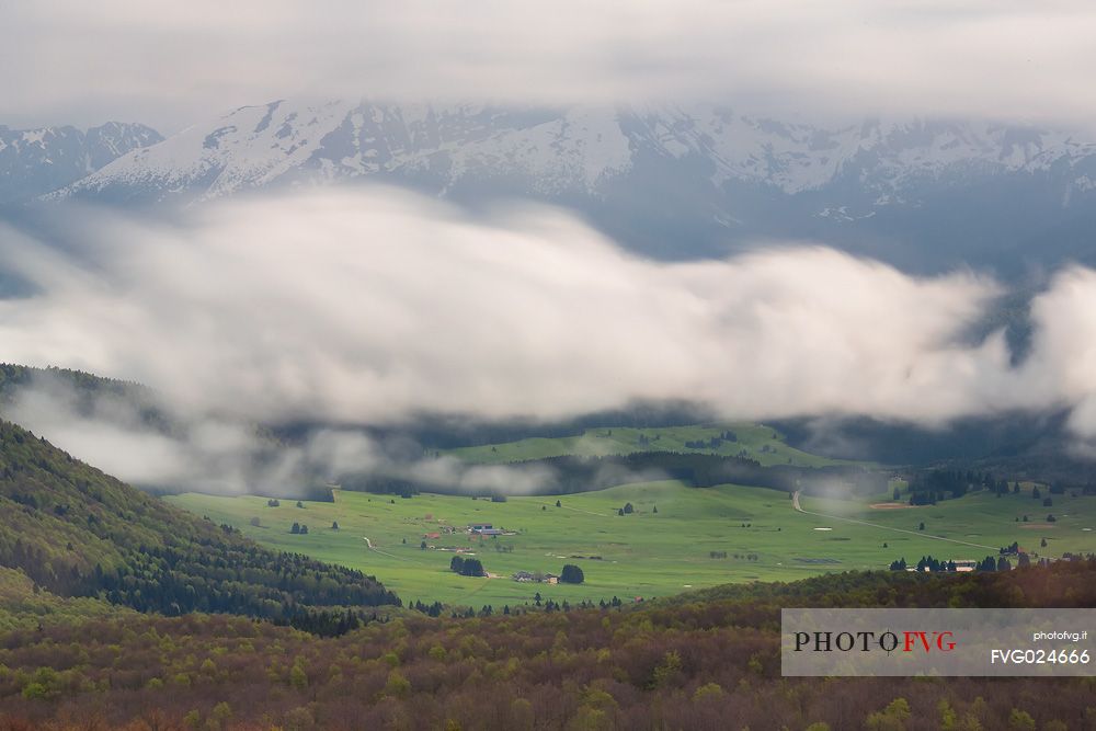 Spring in the magic plateau of Cansiglio from the Pizzoc mountain, Belluno, Italy