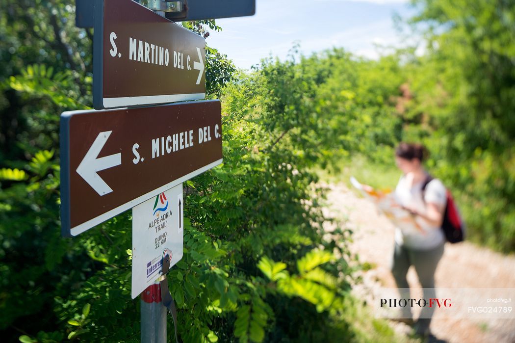 hiker along the path of Romea Strata,
Monte San Michele, San Martino del Carso, Italy
