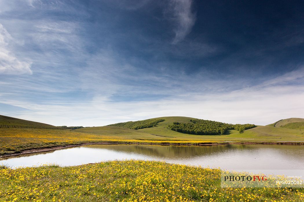 Spring blooming at Pantani of Accumuli Lakes near Castelluccio di Norcia, Italy