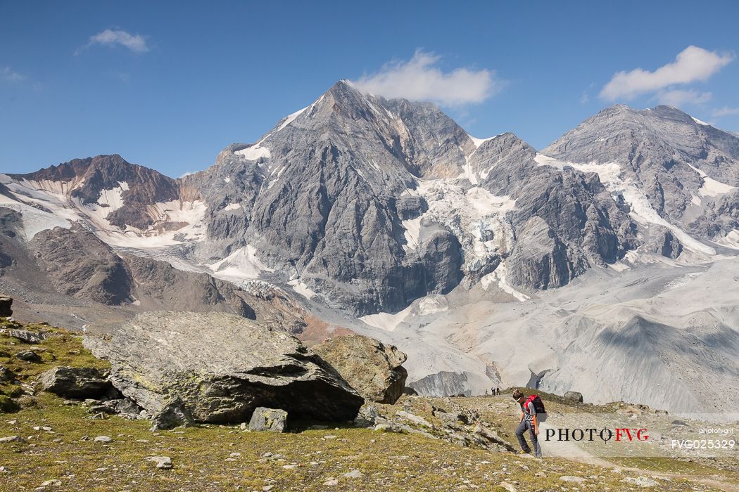 Hiker in the Solda valley and in the background the Gran Zebr peak or Knig Spitze, Stelvio national park, South Tyrol, Italy