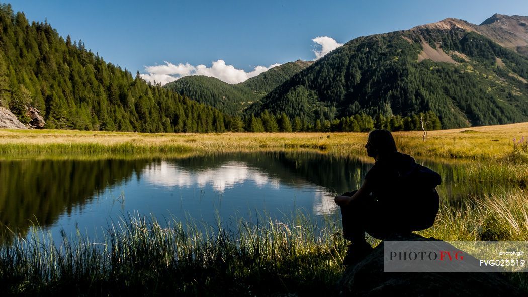 Covel lake, Pejo valley, Stelvio national park, Italy