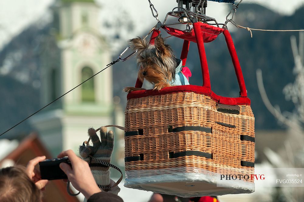 Little dog in a basket of hot air balloon during the balloon festival in Pusteria valley, in the background the bell tower of Dobbiaco church, dolomites, Trentino Alto Adige, Italy, Europe