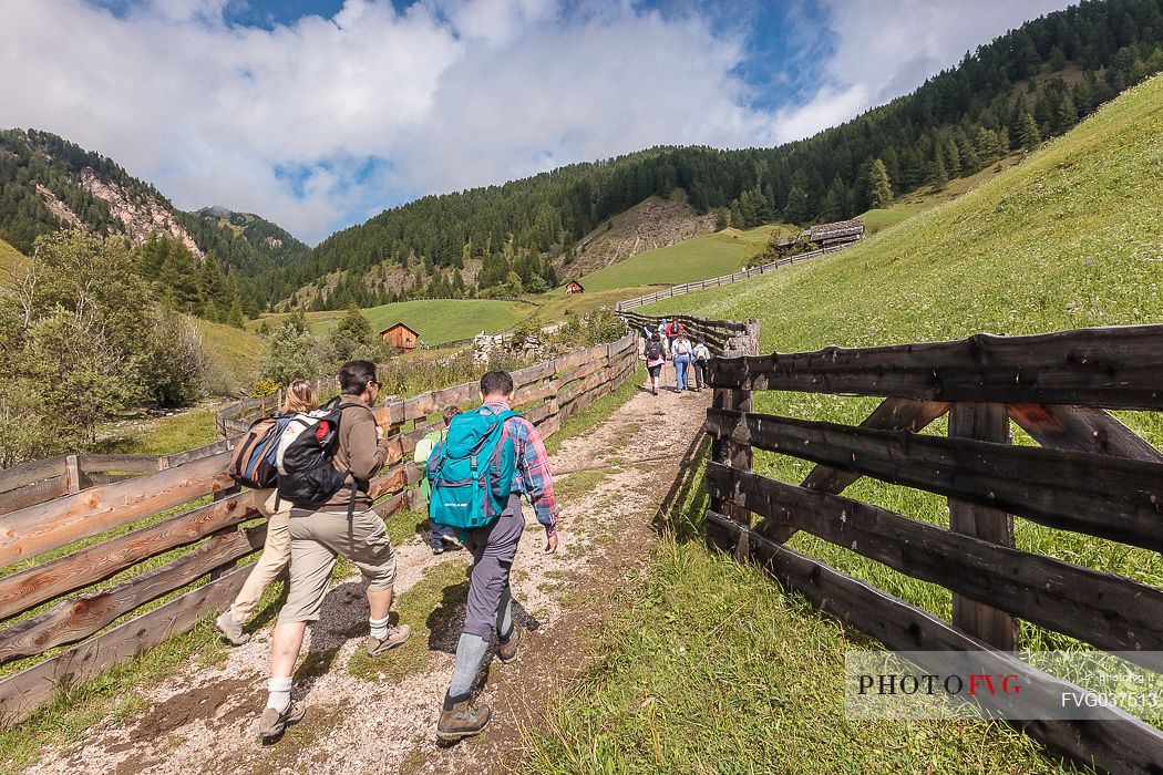 Hikers in the Valle dei Mulini valley, Longiar, Badia valley, dolomites, Trentino Alto Adige, Italy, Europe
