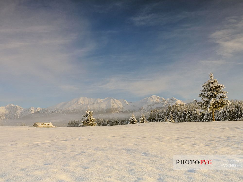 Winter in the Piana Cansiglio plateau and in the background the Monte Cavallo mountain range, Veneto, Italy, Europe