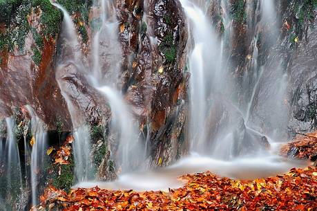 Autumn's end, Bandito di Gracco wood and leafs in a small waterfall