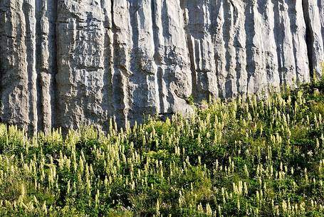 Calcarous erotions on Avostanis rock faces