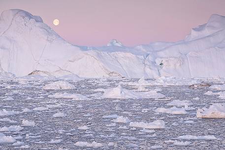 Moonlight over the icebergs of Kangerlua Fjord at dusk