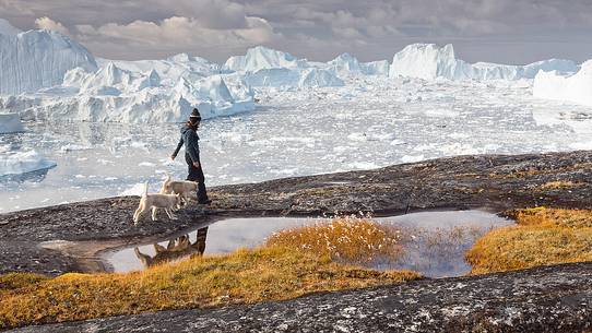 Hiking and action near a small pond; in foreground a girl and a greenland husky together, in the background icebergs in Kangerlua  Fjord