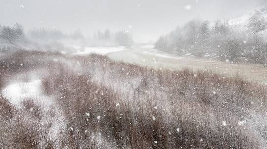 An Intense snowfall slowly cover the vegetation near Cellina river