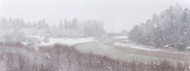 An Intense snowfall slowly cover the vegetation near Cellina river An Intense snowfall slowly cover the vegetation near Cellina river