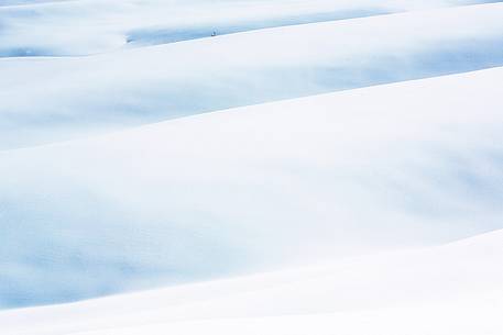 Forms and composition on snow field