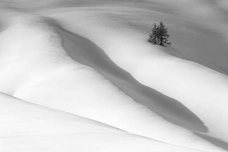 Forms and composition on snow field