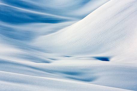 Forms and composition on snow field