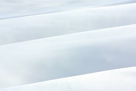 Forms and composition on snow field