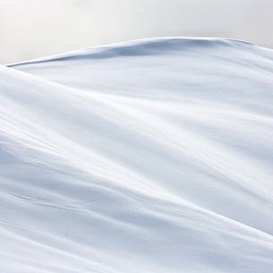 Forms and composition on snow field