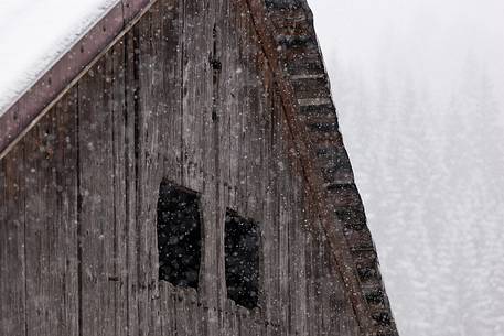 Under a snowfall a typical wooden building in alpine village of Sauris di Sotto Under a snowfall a typical wooden building in alpine village of Sauris di Sotto
