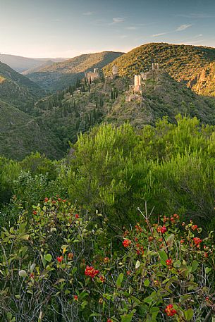 Lastours castle are four: Cabaret ,Tour Régine,Surdespine,Quertinheux Lastours castle are four: Cabaret ,Tour Régine,Surdespine,Quertinheux
