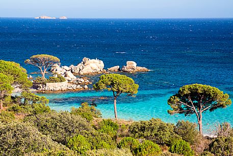 Tamaricciu beach, one of the most beautiful of Corse du Sud, Corsica