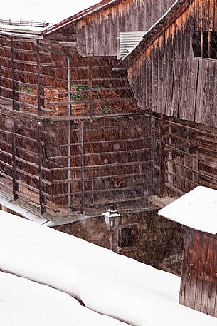 Under a snowfall a typical wooden building in alpine village of Sauris di Sotto