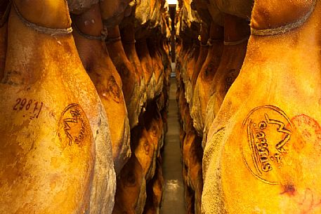 Inside Wolf ham factory, Sauris di Sotto