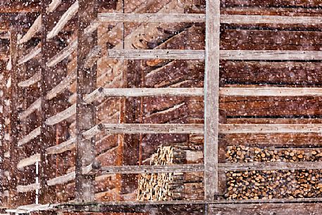 Under a snowfall a typical wooden building in alpine village of Sauris di Sotto