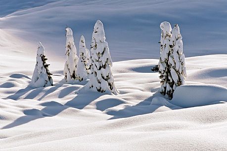 Sauris di Sotto forest after a heavy snowfall