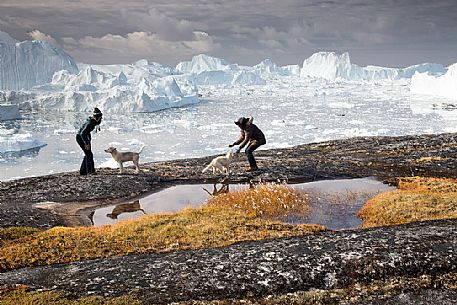 Two girls and two Greenland Husky pups funning near a small pond; in the background icebergs in Kangerlua  Fjord