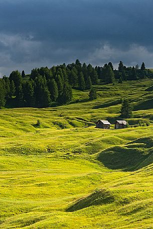 Pralongi and it's chalets in the evening light, Dolomites, South Tyrol, Italy 