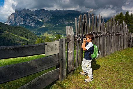 Child hiking in Badia Valley, South Tyrol, Dolomites, Italy