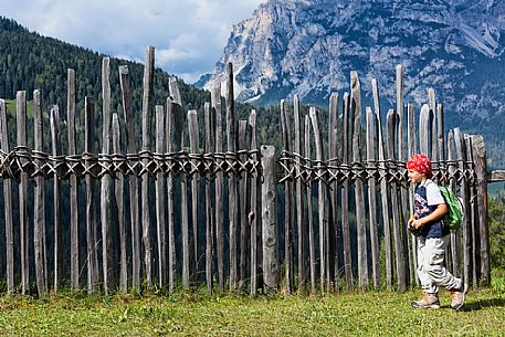 Child hiking in Badia Valley, South Tyrol, Dolomites, Italy