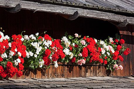Typical house with flowers in Val Badia, South Tyrol, dolomites, Italy