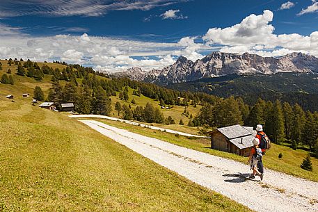 Admiring the meadows of Utia Vaciara, Badia Valley, South Tyrol, Dolomites, Italy