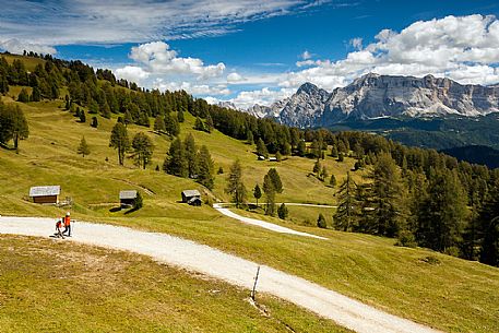Hiking along the path and meadows of Utia Vaciara, Badia Valley, South Tyrol, Dolomites, Italy 