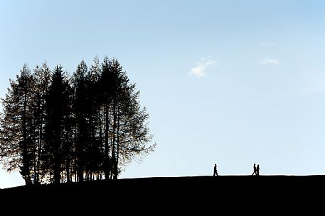 Silhouette young people hiking along a path of Prati dell'Armentara, South Tyrol, Dolomites, Italy 