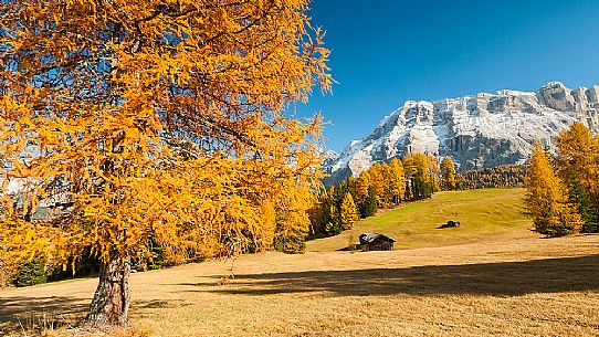 Prati dell'Armentara alpine meadows with barns in autumn, Sasso della Croce mountain group in background, South Tyrol, Dolomites, Italy
 