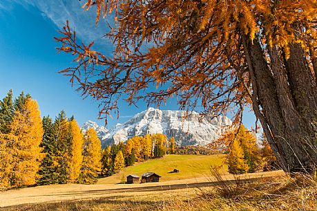 Prati dell'Armentara alpine meadows with barns in autumn, Sasso della Croce mountain group in background, South Tyrol, Dolomites, Italy
 