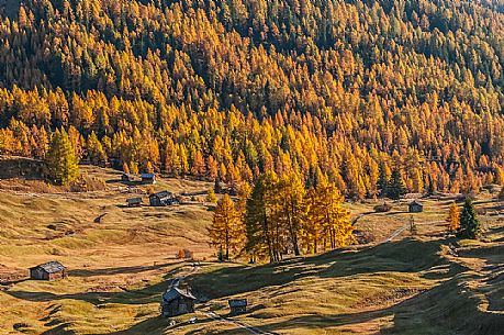 Prati dell'Armentara alpine meadows with barns in autumn, South Tyrol, Dolomites, Italy
 