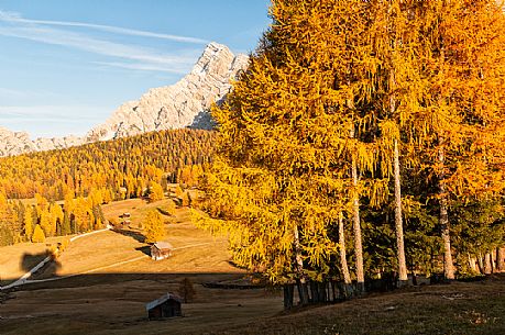 Prati dell'Armentara alpine meadows with barns in autumn, Sasso della Croce mountain group in background, South Tyrol, Dolomites, Italy
 