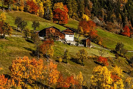 Autumn in Funes valley, dolomites, italy