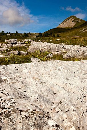 Furrowed rocks at Pian di Nana, Brenta's dolomites, Trentino, Italy