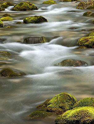 Detail of Vallesinella river waterfall, Madonna di Campiglio, Brenta dolomites, italy