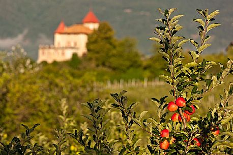 The castle of Casez and the apple trees in Val di Non, Trentino, Italy