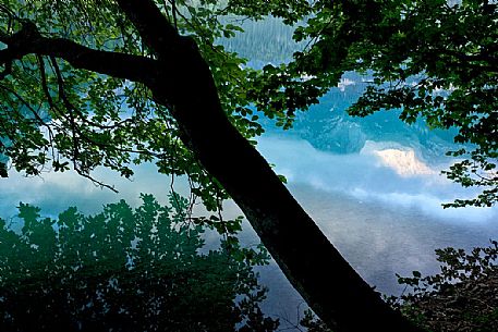 Tovel lake reflects the  Brenta dolomites, Val di Non, Trentino, Italy