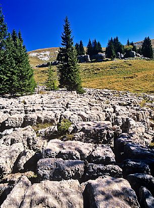 Landscape of Campo Manderiolo, Asiago, italy